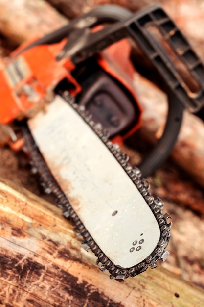 Professional chainsaw blade cutting log of wood