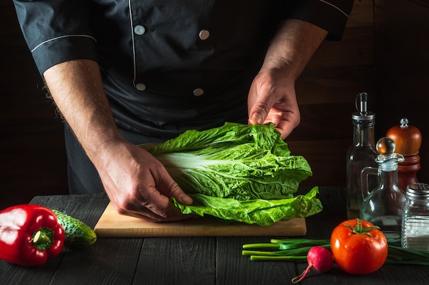 A professional chef makes a fresh napa cabbage salad. Preparation for slicing in the restaurant kitchen. Vegetable diet idea.