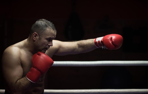 professional kickboxer with hands in martial arts position training for the fight in the training ring