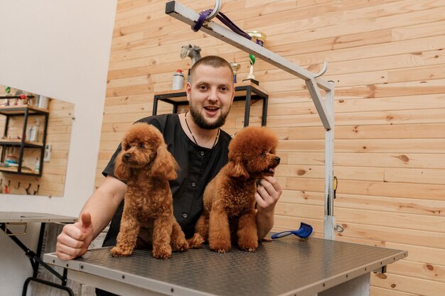 Professional male groomer with poodle teacup dog on his workplace in grooming salon for pet