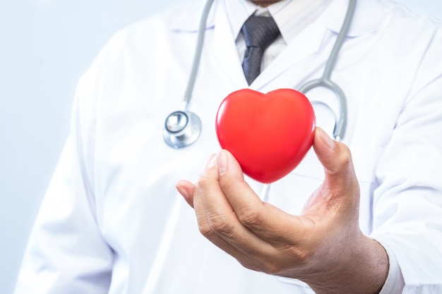 Professional medical doctor holding a red heart ball in the hospital