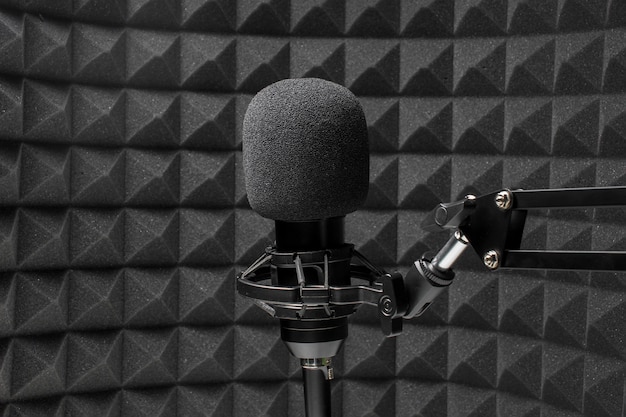 Professional microphone in front of acoustic isolation foam