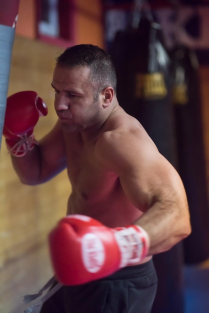 professional muscular kick boxer training on a punching bag while preparing for the next fight