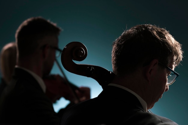 Photo professional musician playing on stage a classical music concert back view