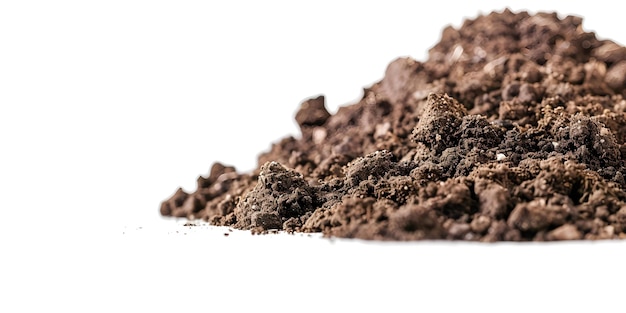 Professional photo of a pile of soil on a white background with copy space and selective focus Concept Soil White Background Copy Space Selective Focus Professional Photo