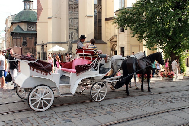 Promenade coach with two harnessed horses running in Lvov