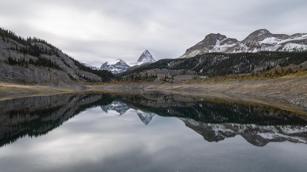 Prominent mountain reflecting in alpine lake during overcast day pano mt assiniboine pp canada