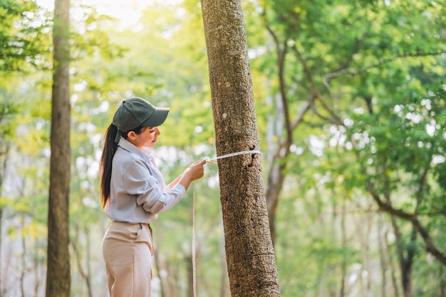 Protect from deforestation and pollution or climate change Concept to love nature and tree Woman measuring the circumference of a tree with a ruler tape