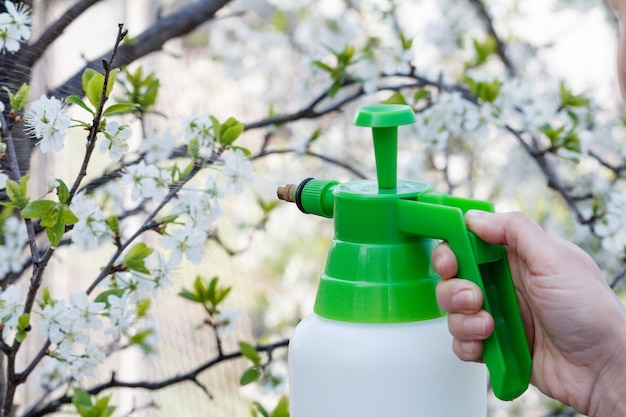 Protecting fruit trees from fungal disease or vermin in spring Selective focus on pressure sprayer