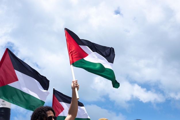 Protesters are holding a Palestinian flag during a peaceful protest