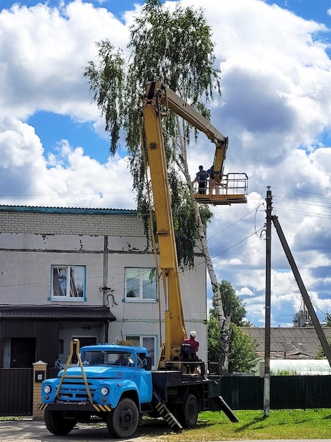 Pruning tree branches from a car tower