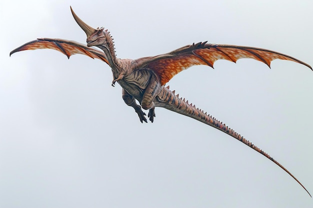 Pteranodon flying in the sky