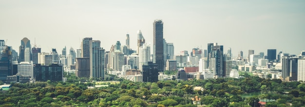 Public park and high-rise buildings cityscape in metropolis city center