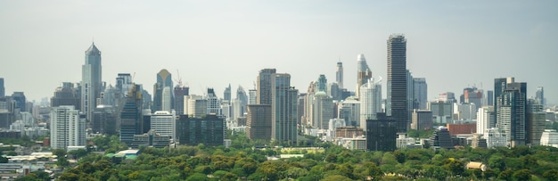 Public park and highrise buildings cityscape in metropolis city center