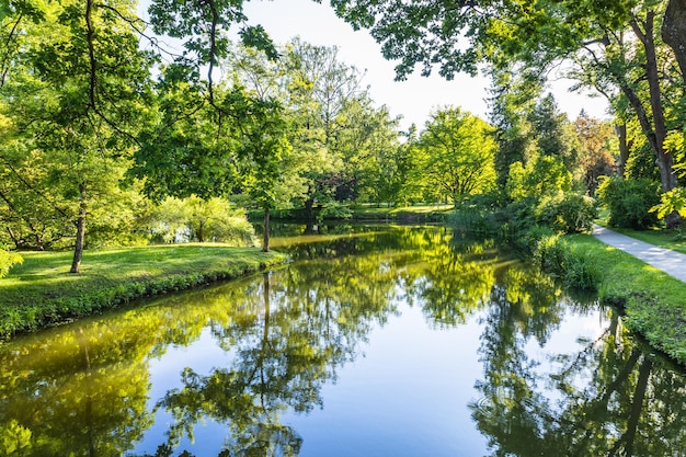 The public park with a pond for leisure landscape and a meadow grass field