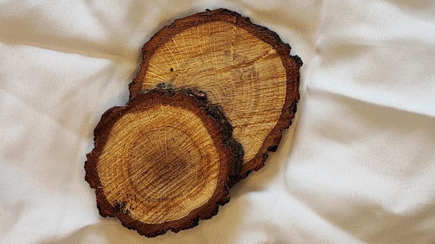 puck from an oak branch. a tree in a hole behind a white and crumpled sheet