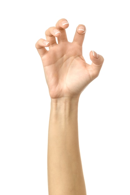 Pulling, grabbing, reaching or scratching. Woman hand with french manicure gesturing isolated on white wall. Part of series