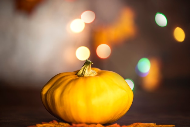 Pumpkin on autumn leaves. bokeh background with copy space, colorful design background Halloween and Fall,