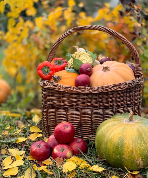 pumpkin close-up on a autumn background. banner for halloween and thanksgiving day. autumn vegetable