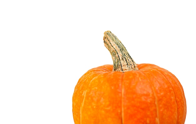 Pumpkin close up on white background