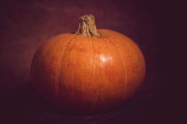 pumpkin on a dark background close-up