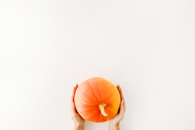 Pumpkin in girl's hands. flat lay autumn