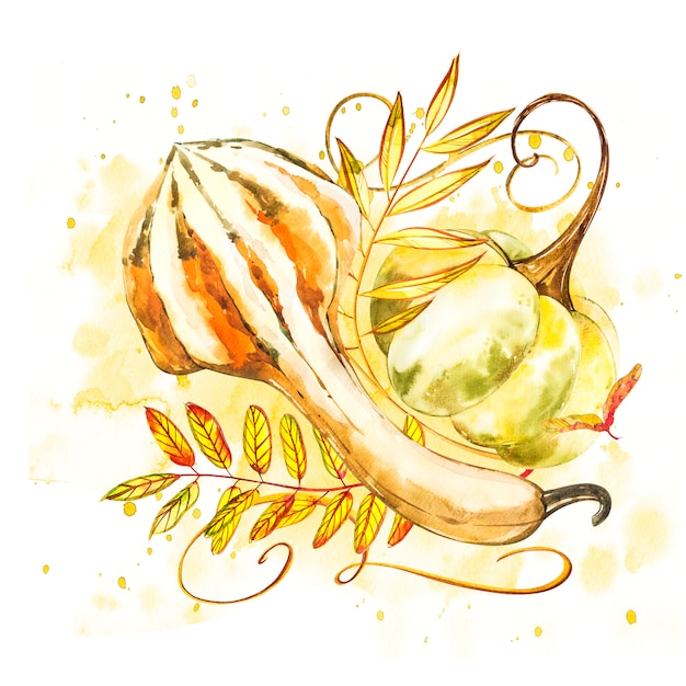 Pumpkin. Hand drawn watercolor painting on white. Watercolor illustration with a splash.