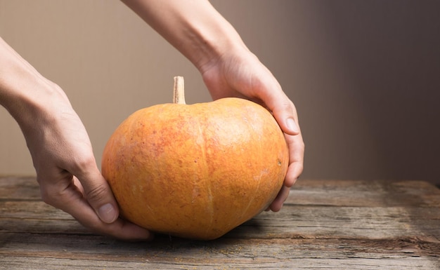 Pumpkin in the hands of a girl on a wooden table