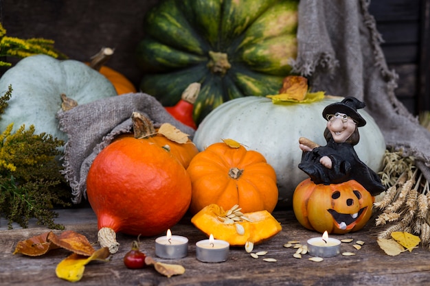 an pumpkin, hawthorn, candles, autumn yellow leaves, ears and a witch in a black dress