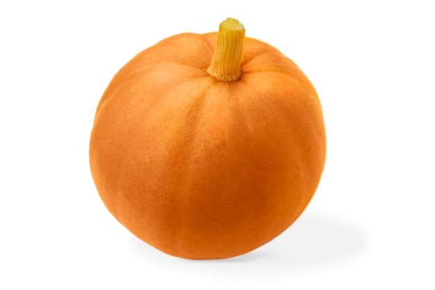 Pumpkin isolated on white background