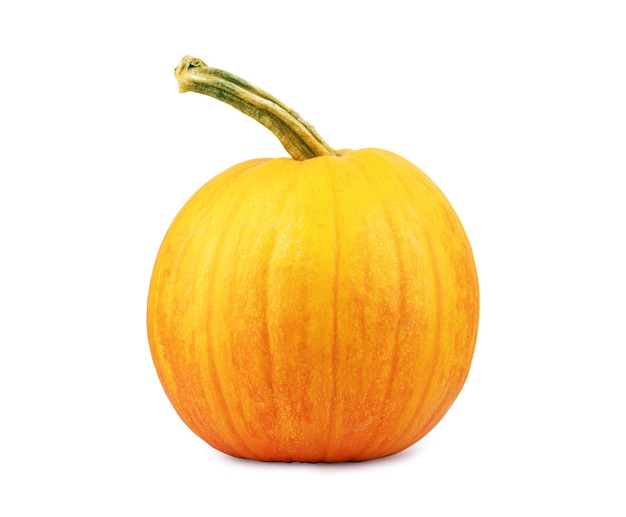 Pumpkin isolated on white background