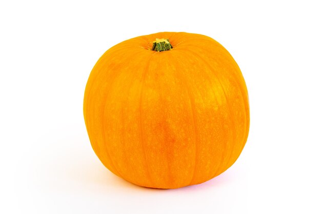 Pumpkin isolated on white background