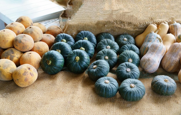 pumpkin at the local market