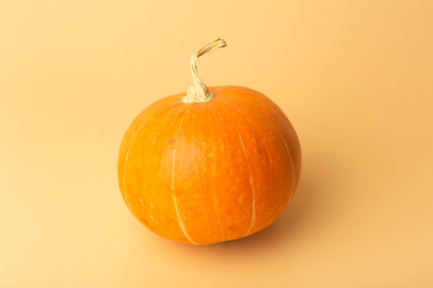 Pumpkin minimal concept