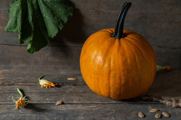 Pumpkin orange on wooden boards for halloween holiday