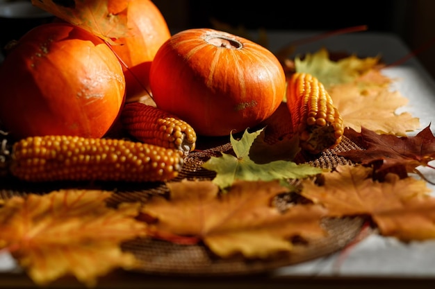 Pumpkin, Squash. Happy Thanksgiving Day Background. Autumn Thanksgiving Pumpkins