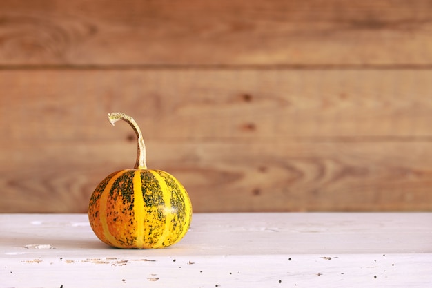 Pumpkin on table - Halloween or Thanksgiving decoration, space for text