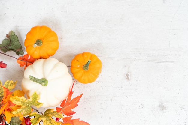 Pumpkin on table