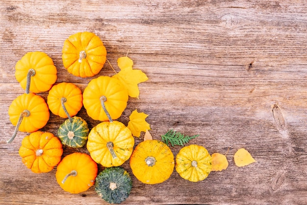 Pumpkin on table