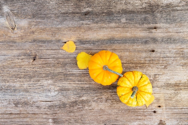 Pumpkin on table