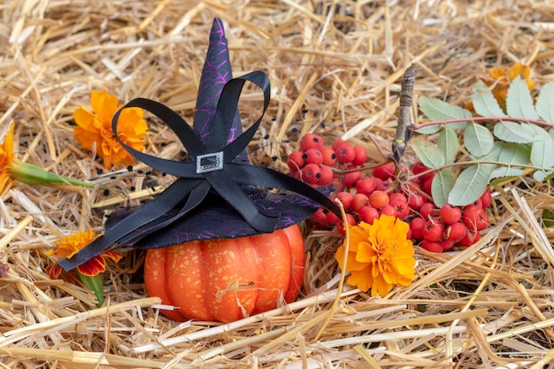 Pumpkin wearing a Witch's hat for the holiday of Halloween Composition on straw with rowan berries and marigold flowers