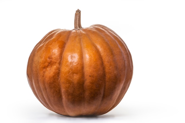 Pumpkin on a white background