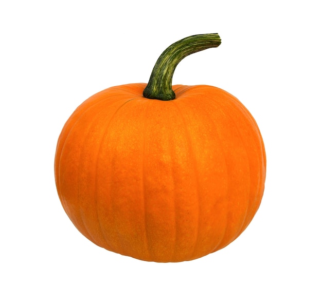 Pumpkin on white