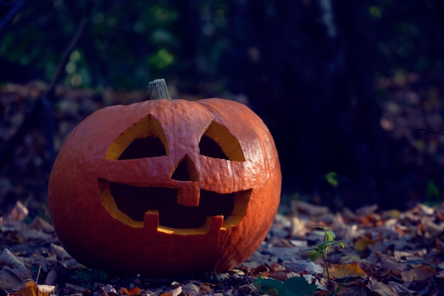 Pumpkin with a carved face.