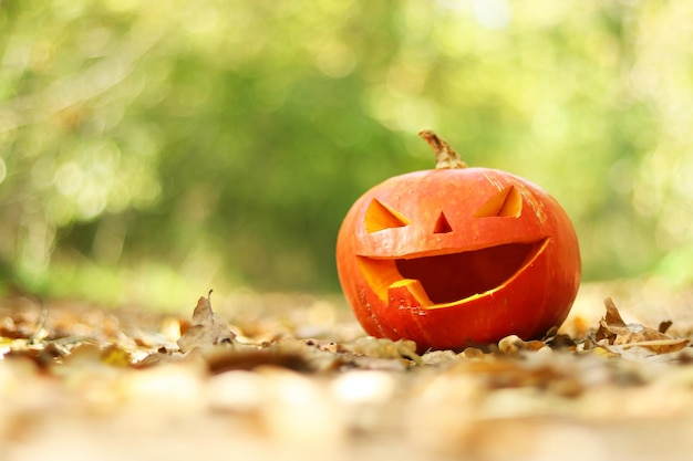 Pumpkin with a cute face among autumn fallen leaves. Autumn mood. Selective focus