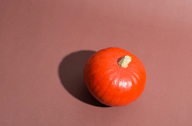 Pumpkin with a hard shadow on a beige background. Thanksgiving Day. Autumn harvest. Copy space. Minimal concept.