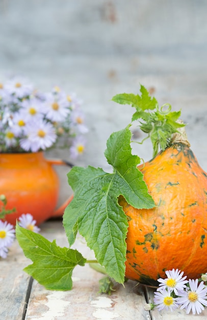 Pumpkin with leaves and flower