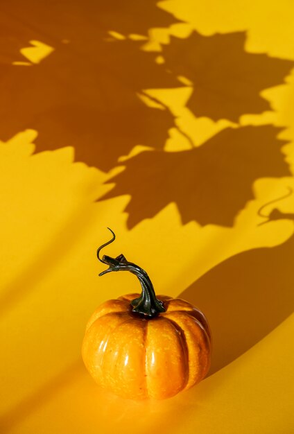 Pumpkin with a shadow from maple leaves 