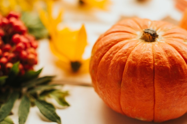 pumpkin with yellow and orange autumn flowers and rowan berries