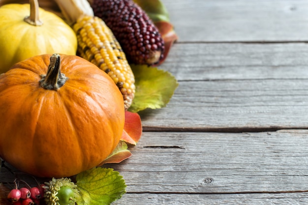 Pumpkins, acorns, leaves and berries on a wooden table close up with copy space